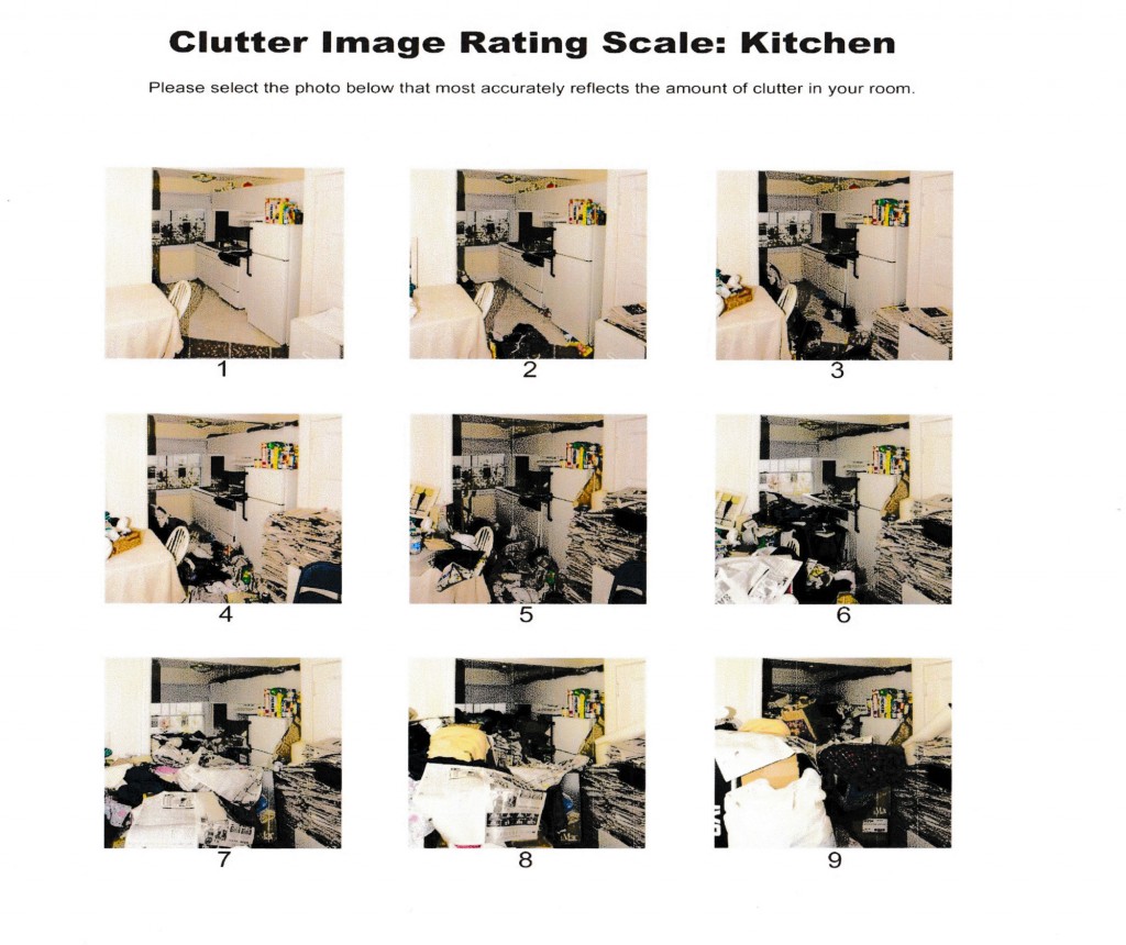 Clutter Image Rating Scale - Kitchen 1