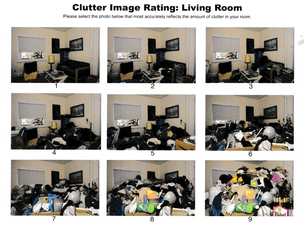 Clutter Image Rating Scale Living Room
